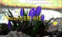 Discord注册卡住了？教你快速通过验证