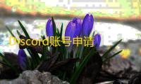 Discord账号申请全流程，邮箱验证教程