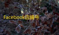 Facebook店铺号资源，精准客源到手