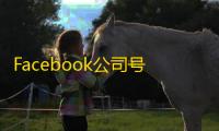 Facebook公司号低价入手全解析