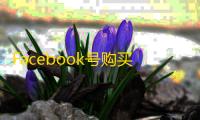 Facebook号购买全流程，BM连接轻松学