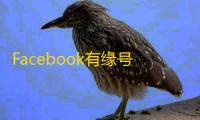 Facebook有缘号操作指南，轻松扩展人脉