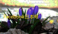 Facebook日本号出售方法，简单几步搞定