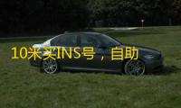 10米买INS号，自助下单超划算