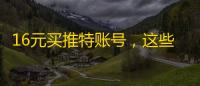 16元买推特账号，这些聊天记录让人后怕