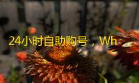 24小时自助购号，WhatsApp推特账号现成可用
