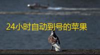 24小时自动到号的苹果老号购买