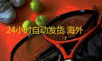 24小时自动发货 海外社交账号轻松购