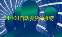 24小时自动发货的推特账号购买