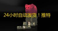 24小时自动发货！推特号独享id秒到账