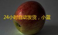 24小时自动发货，小蓝鸟号购买全步骤