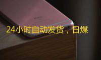 24小时自动发货，日煤炉账号到手无忧