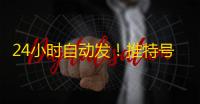 24小时自动发！推特号购买攻略快收藏