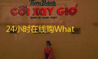 24小时在线购WhatsApp号 现成推特账号即买即用