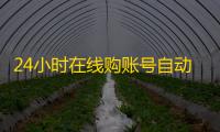 24小时在线购账号自动发货省心