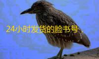 24小时发货的脸书号，个人使用更省心