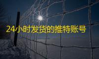 24小时发货的推特账号购买教程，一看就会