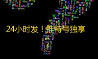 24小时发！推特号独享ID稳定到货