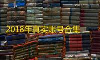2018年真实账号合集，登录无忧有保障