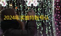 2024年买推特账号认准这些老品牌