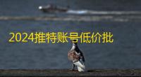 2024推特账号低价批发，两元自动发货