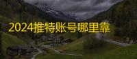 2024推特账号哪里靠谱？24小时发货实测