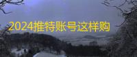 2024推特账号这样购，24小时发货真方便