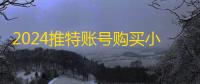 2024推特账号购买小技巧，两元自动发