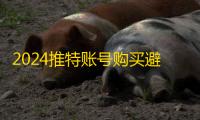 2024推特账号购买避坑指南，两元批发
