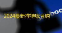 2024最新推特账号购买实操指南