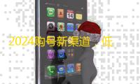2024购号新渠道，低价自动发货快