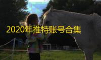 2020年推特账号合集，新手必藏