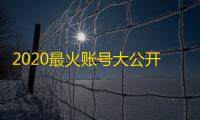 2020最火账号大公开，直接拿走不谢