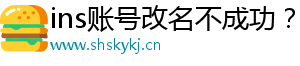 Discord注册总转圈？清除浏览器历史记录-ins账号改名不成功？试试这些方法